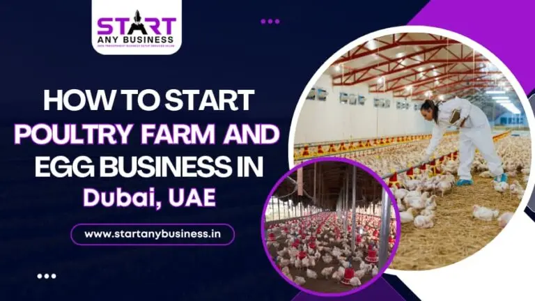 How to Start a Poultry Farm and Egg Business in Dubai, UAE